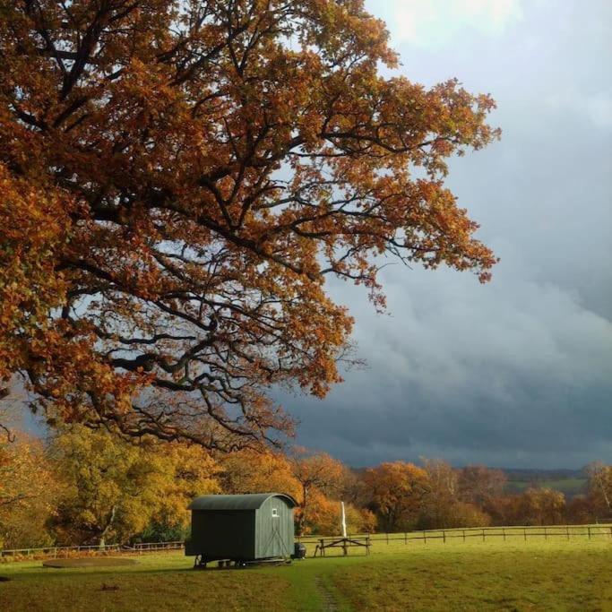 Skylark Shepherds Hut Royal Tunbridge Wells Exterior photo