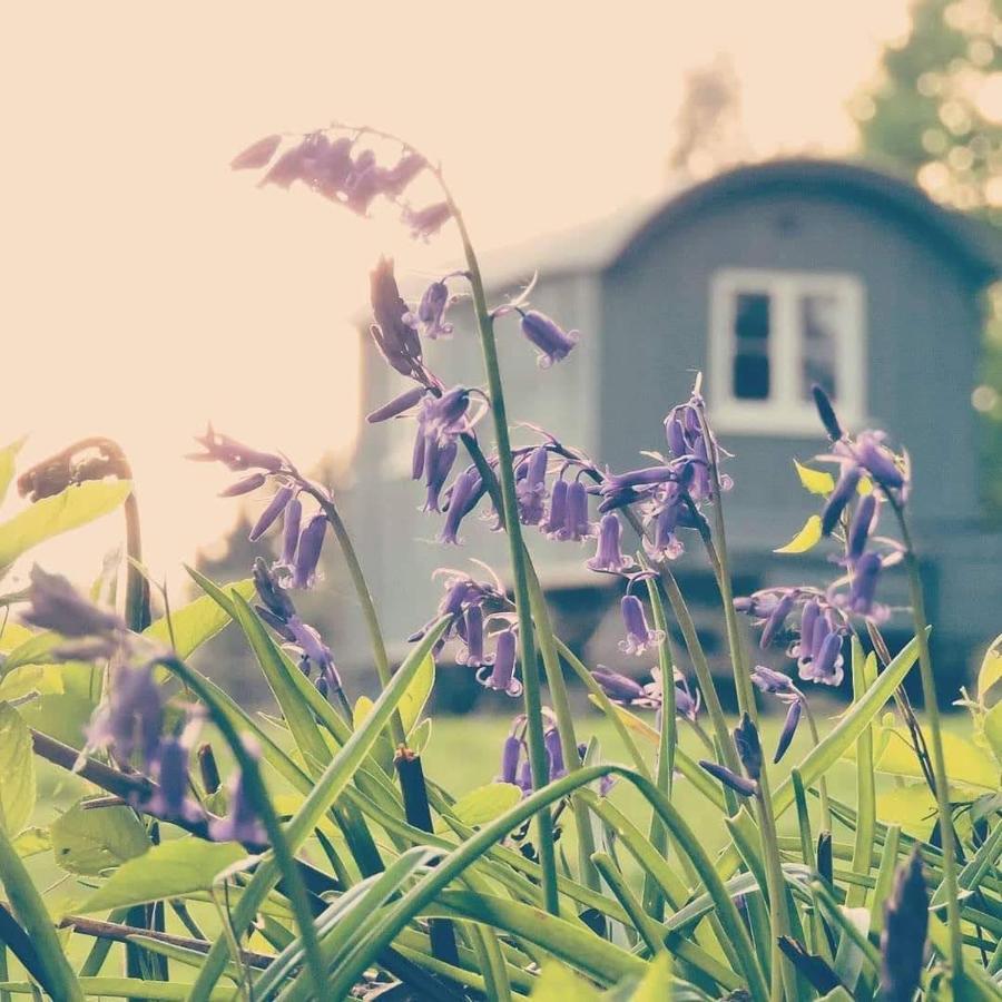 Skylark Shepherds Hut Royal Tunbridge Wells Exterior photo